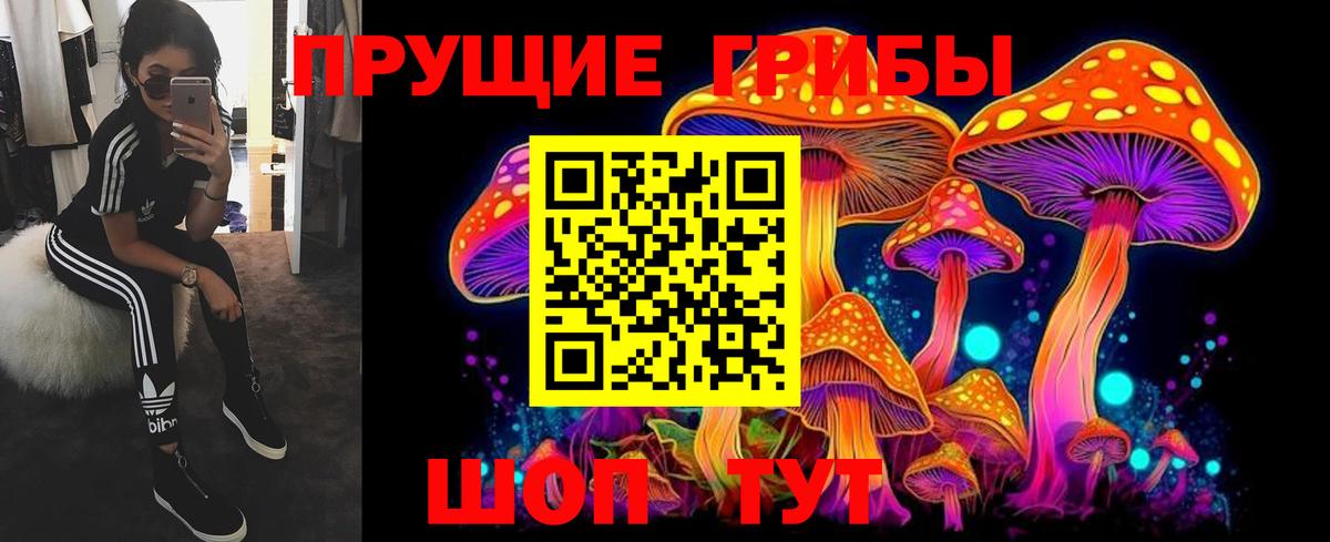 Изобильный  цена   Вход с VPN  Галлюциногенные грибы прущие грибы 